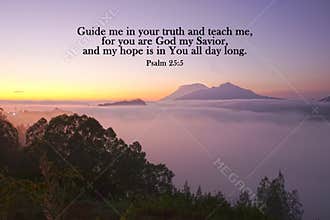 Bible verse quote - Guide me in your truth and teach me, for you are the God of my salvation. I wait for you all day long.