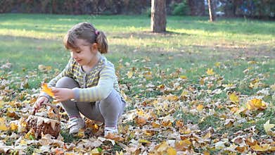 Little girl collecting autumn leaves