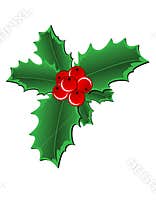 Christmas Holly Border