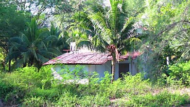 Broken building house in jungle after tsunami Khao Lak Thailand
