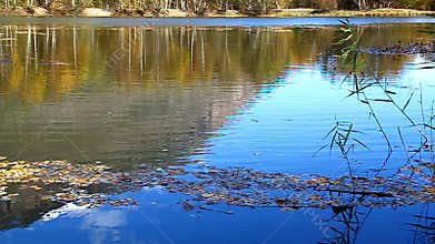 Stone falls into the lake, are circles in the water