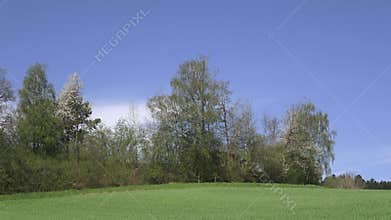 Film footage landscape in the Bavarian forest with forest and trees and meadows and fields , Germany