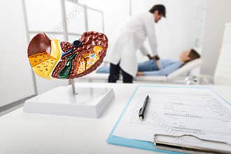 Gastroenterologist palpates painful woman abdomen, revealing liver disease. Human liver