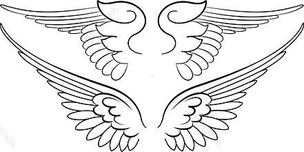 Baroque Wings in Calligraphy