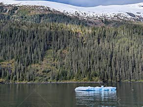 Glacier Ice on the waters of Endicott Arm