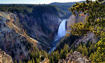 Lower Falls, Yellowstone National Park