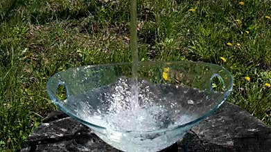 in pouring clean water into a glass bowl in nature on a background of grass on a stump