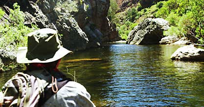 Fisherman fly fishing in river