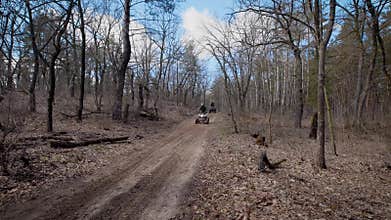 Sunny day in the wood. Two riders on quadrocycle in the autumn forest. Men ride on quad bikes on forest roads.