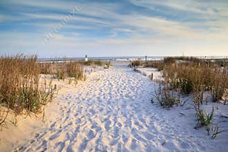 Folly Beach, South Carolina