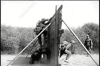 Soldiers climbing over wall during boot camp training