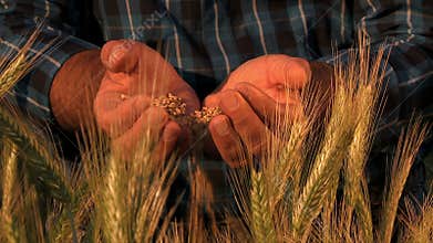 Harvest