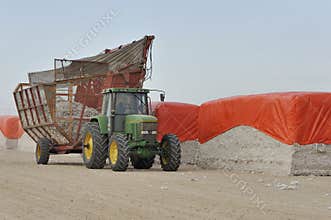 Cotton Harvesting