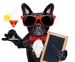 Cocktail party dog
