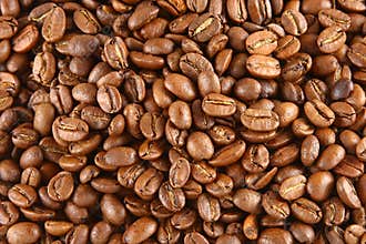 Coffee Beans