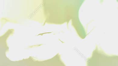 Flowing abstract painting background