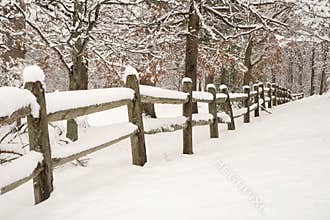 Snowy Fence