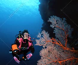 Woman Diver and Sea Fan
