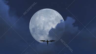 Mythological dragon flying with a full moon background footage