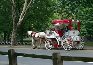 Central Park Carriage Ride New York USA