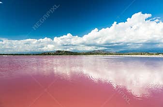 Pink water salt lake in Dominican Republic