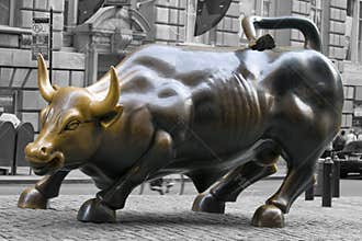 Wall Street Bull