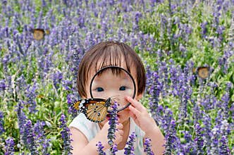 Little girl looking at butterfly with magnifying glass