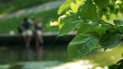 Couple in the park in Blur style