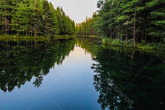 Wilderness Forest River Reflections