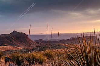 Sunset in Big Bend National Park