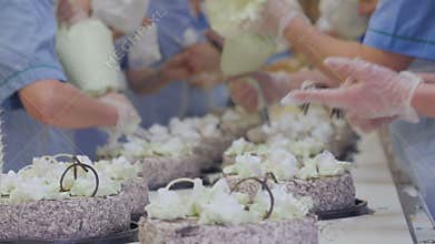 Cakes on a conveyor. Workers decorating cakes at a cake factory. Busy day at confectionery plant.