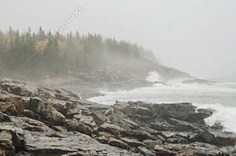 Acadia National Park rocky coast