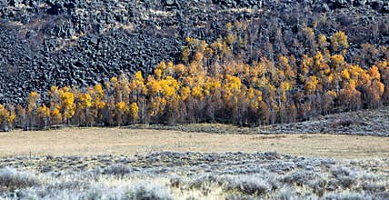 Fall Landscape in Wyoming