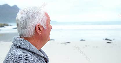 Portrait of senior man standing on beach