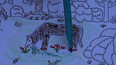 Coloring book for children with a horse, 4K