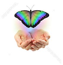 Letting Go