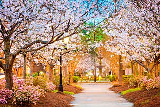 Macon, Georgia, USA