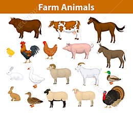 Farm animals collection