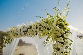 Wedding arch