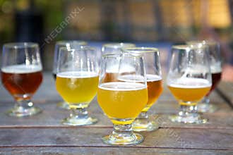 Craft Beer Samples in Glasses Outdoors