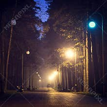 Park in the fog