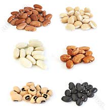 Assortment of beans