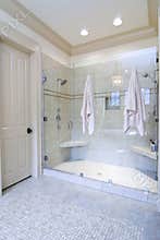 Bathroom with large shower