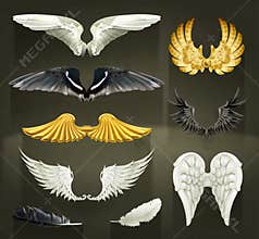 Wings vector illustrations