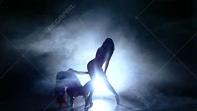 woman striptease dancer in erotic show. Slow