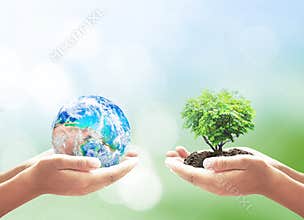 Human Hands Holding Earth Planet and Green Tree for Environmental Protection and CSR Concept