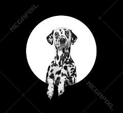Dog in a circle with empty space for text