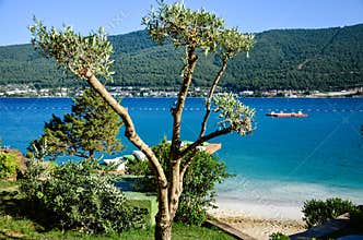 Blue sea