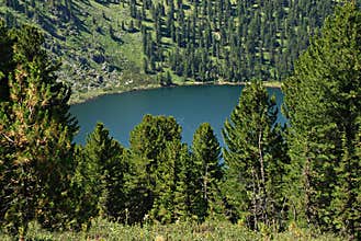 Mountain lake Karacol, Altai, Russia