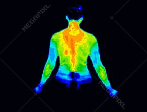 Upper body thermography